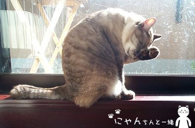 ふぃ〜。お疲れ、お疲れ_e0031853_1132473.jpg