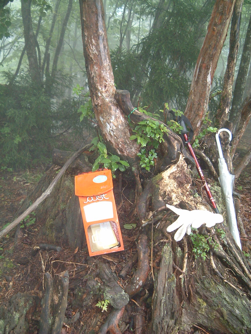 c0097754_1832732.jpg