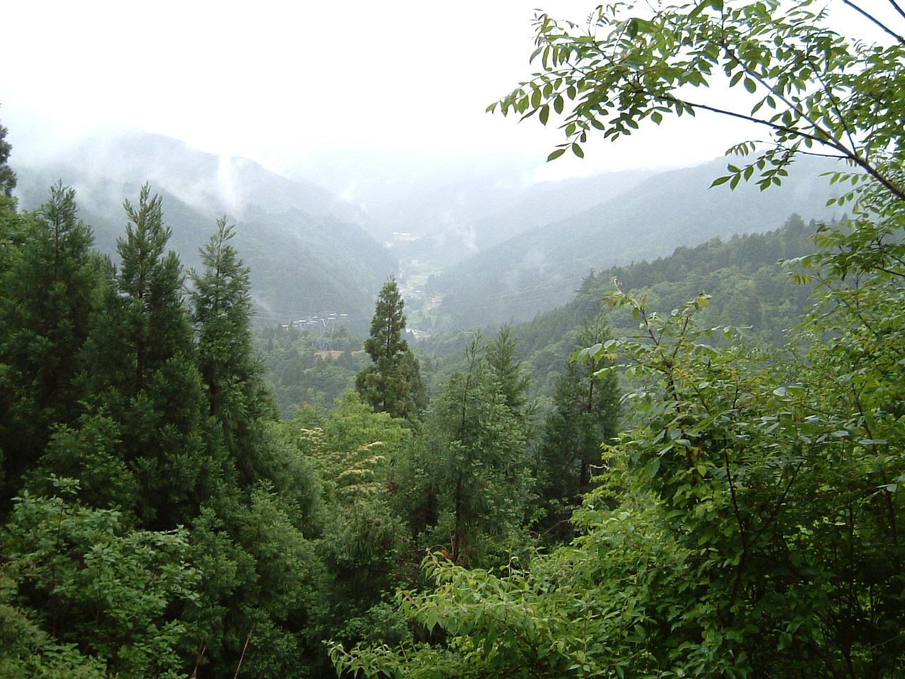 c0097754_18464742.jpg