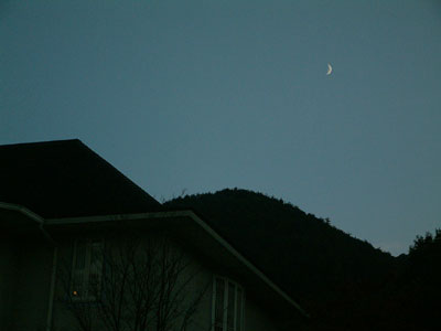 c0050264_2273086.jpg
