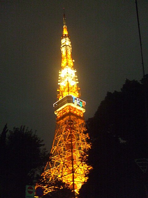 TOKYO TOWER 東京オリンピック招致サポート企画_a0015766_21461324.jpg