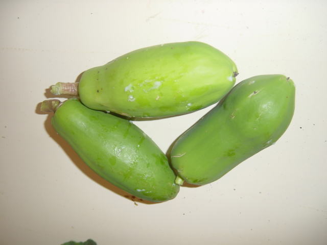 これはなんという野菜でしょうか？_b0102868_2271645.jpg