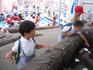 d0016392_09677.jpg
