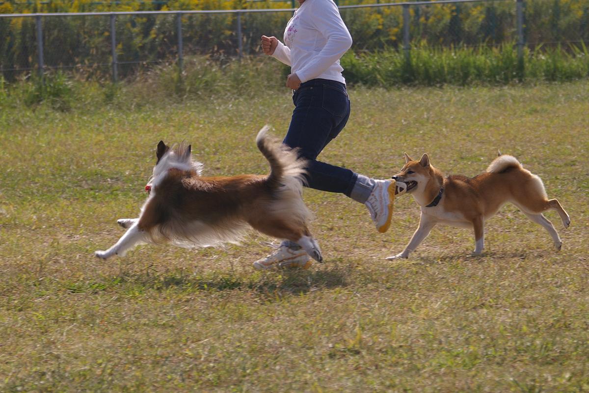 海とのふれあい公園_d0079892_22503887.jpg