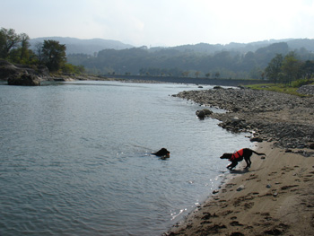 c0040702_17453249.jpg