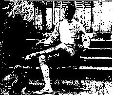 f0028703_1736284.jpg