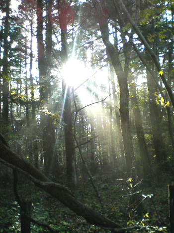 e0083204_21532093.jpg