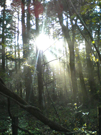 本格キャンプ in 河口湖_e0083204_21532093.jpg