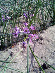f0048405_1251567.jpg