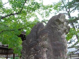 知恩院～今宮神社～下鴨神社_a0088007_117493.jpg