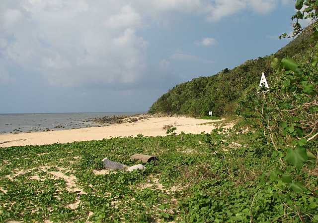 八重山　西表島　１０　（南風見田の浜）_c0036317_6542958.jpg