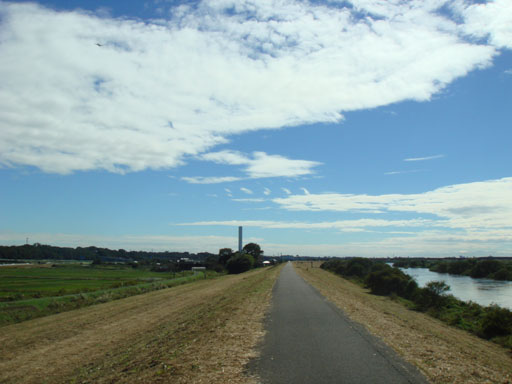 c0000718_8521984.jpg