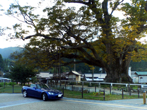 d0017527_064934.jpg