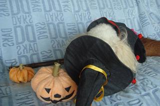 HAPPY　Halloween 06_b0069630_1335037.jpg