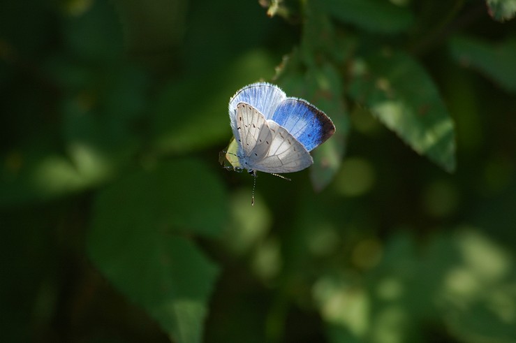 f0105542_21493055.jpg