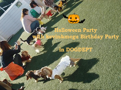 Halloween Party_c0016745_12561344.gif