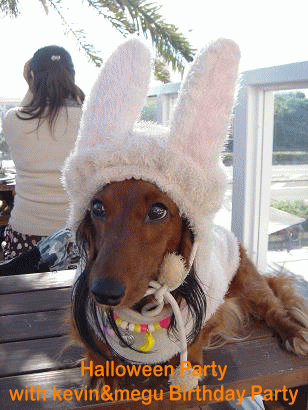 c0016745_12562458.gif