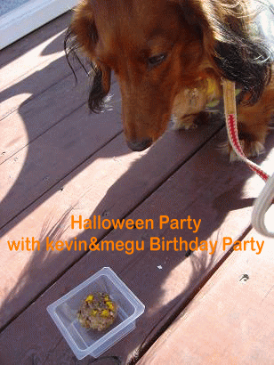 Halloween Party_c0016745_12564779.gif