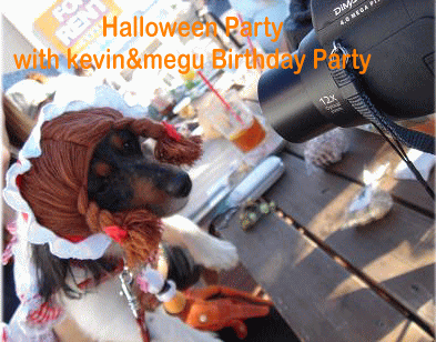 Halloween Party_c0016745_12571417.gif