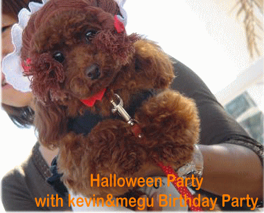 Halloween Party_c0016745_1257255.gif