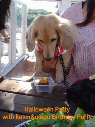 Halloween Party_c0016745_1257385.gif