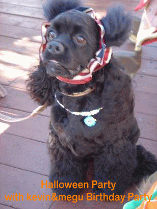 c0016745_12582520.gif