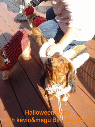 c0016745_1259236.gif