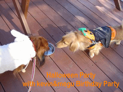 Halloween Party_c0016745_12593539.gif