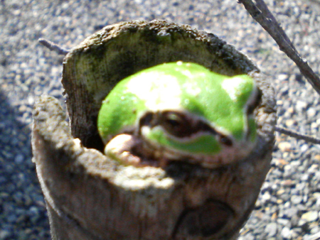 f0048547_17222252.jpg