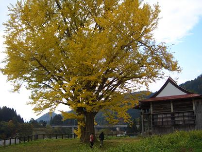 10年ぶり，東北漫遊旅行_e0034554_11583084.jpg