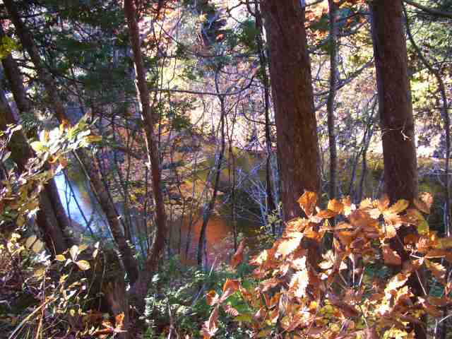 薬研温泉の紅葉_c0024861_1616852.jpg