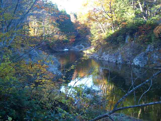 薬研温泉の紅葉_c0024861_16205991.jpg