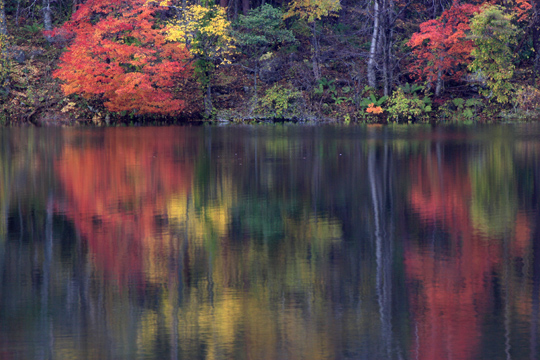 紅葉の裏磐梯と姫沼_b0099970_238324.jpg