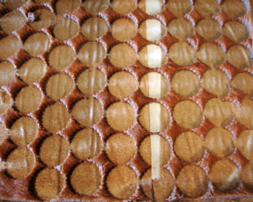 f0023570_83966.jpg
