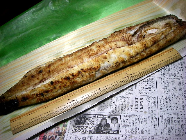 最高の天然うなぎ_a0066081_521291.jpg
