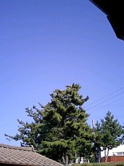 f0083083_13505478.jpg