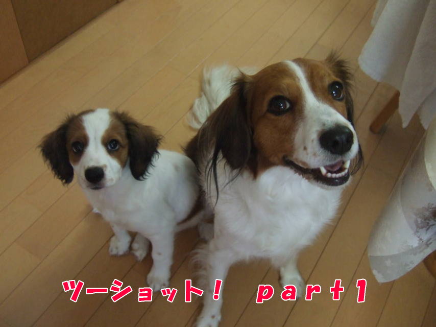 c0075585_03719.jpg