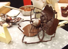 f0007587_20821.jpg