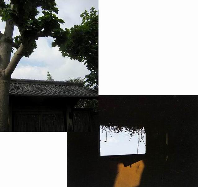 f0045090_14341346.jpg
