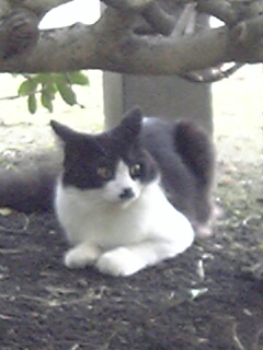 c0037701_0384430.jpg