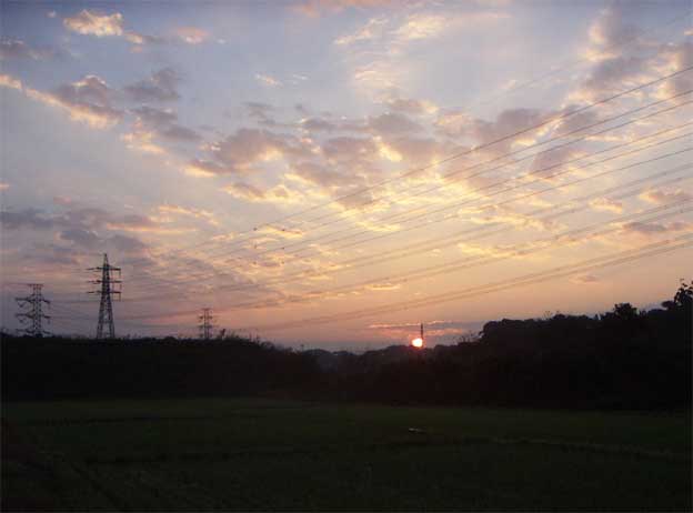 e0018604_84717.jpg