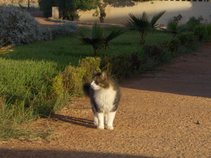 b0077906_08255.jpg