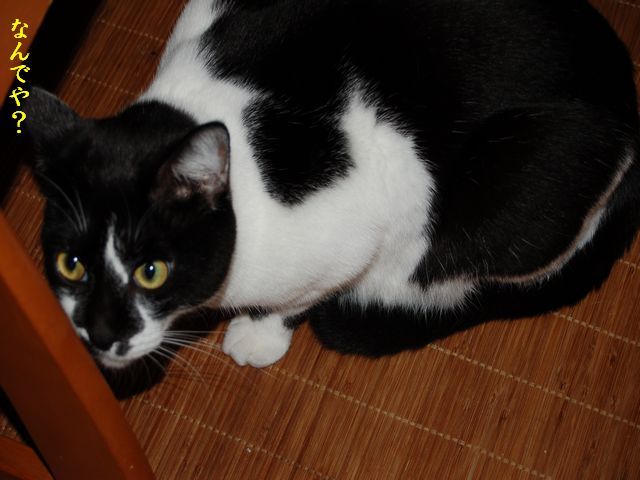e0094407_0282883.jpg