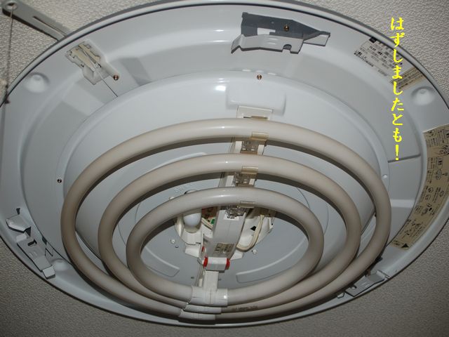 e0094407_032036.jpg