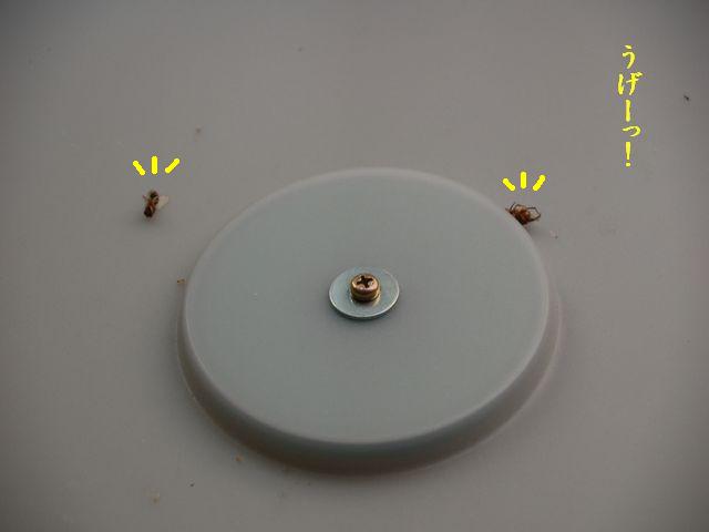 e0094407_051114.jpg