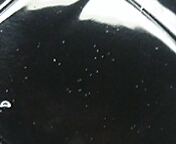 e0016709_75413.jpg