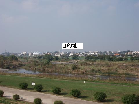 e0067218_8125892.jpg