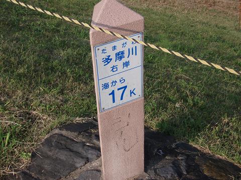 e0067218_8142873.jpg