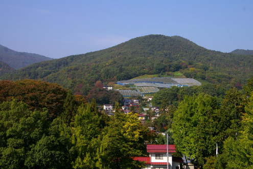 b0053019_22524143.jpg
