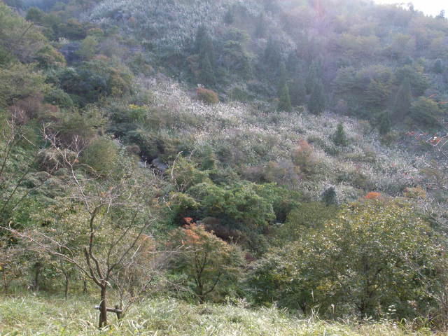 d0073743_20193625.jpg